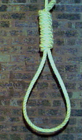 Hanged By The Neck Until Dead The Process Of Judicial Hanging